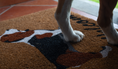 Load image into Gallery viewer, Dog-Lover's Welcome Mat