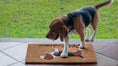 Load image into Gallery viewer, Dog-Lover's Welcome Mat